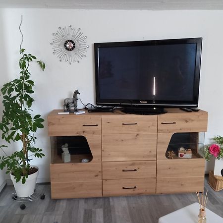 60 M² Ferienapartment Zentrumsnahe Mit Gartenbenutzung Steyr Extérieur photo