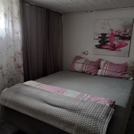 60 M² Ferienapartment Zentrumsnahe Mit Gartenbenutzung Steyr Extérieur photo