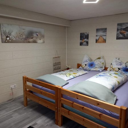 60 M² Ferienapartment Zentrumsnahe Mit Gartenbenutzung Steyr Extérieur photo