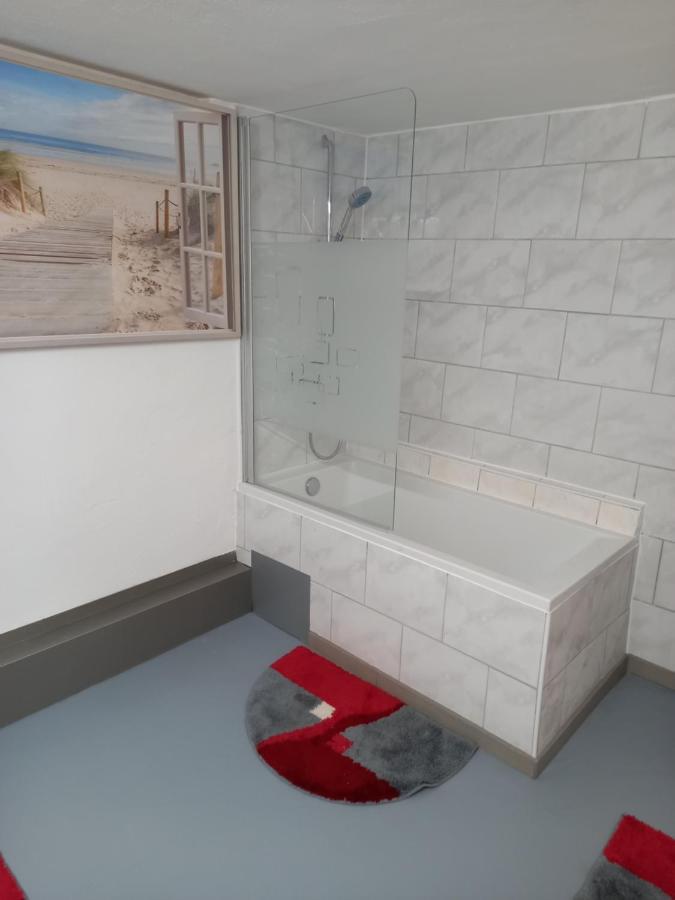 60 M² Ferienapartment Zentrumsnahe Mit Gartenbenutzung Steyr Extérieur photo