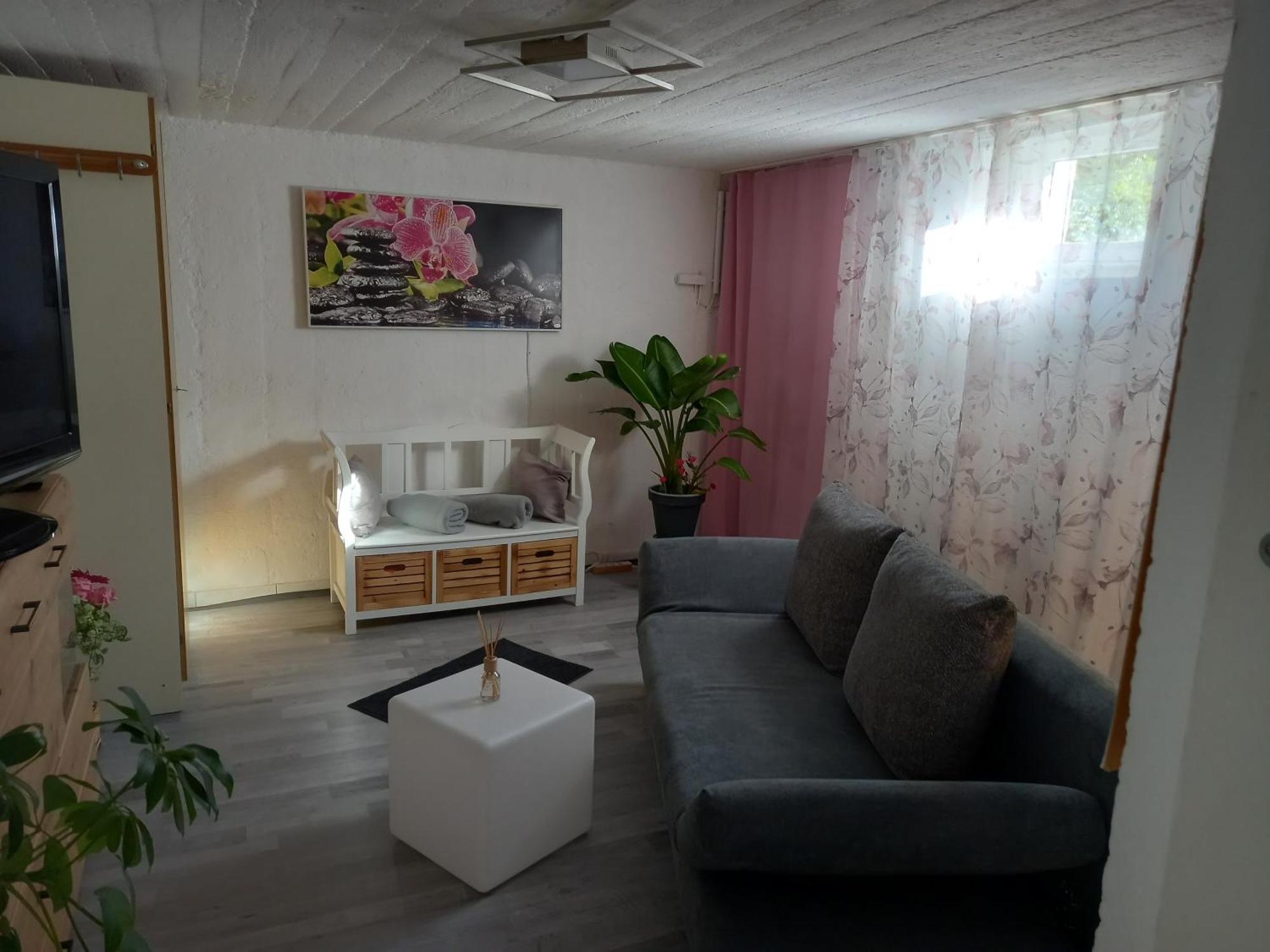 60 M² Ferienapartment Zentrumsnahe Mit Gartenbenutzung Steyr Extérieur photo