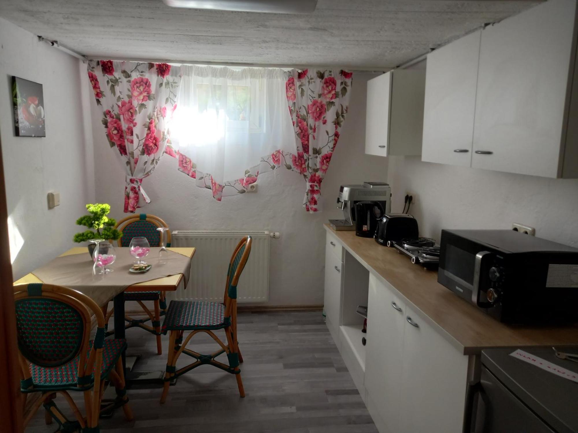 60 M² Ferienapartment Zentrumsnahe Mit Gartenbenutzung Steyr Extérieur photo